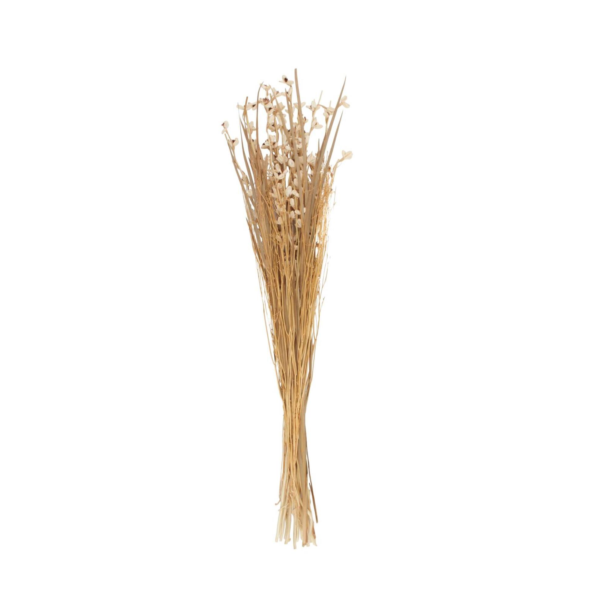 41" Cream Dried Plant Floral Bouquet Natural Foliage